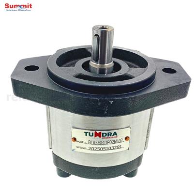 Bomba hidráulica de engranajes BLA3F05DP02NL02, 6 L/min A 1500 RPM