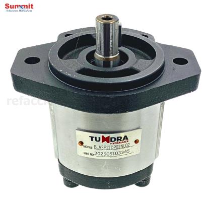 Bomba hidráulica de engranajes BLA3F05DP02NL02, 17.10 L/min A 1500 RPM